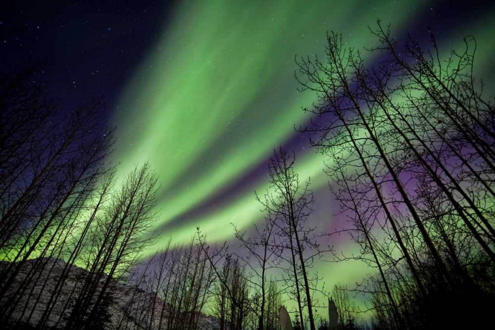 Art Print: Aurora Borealis XI