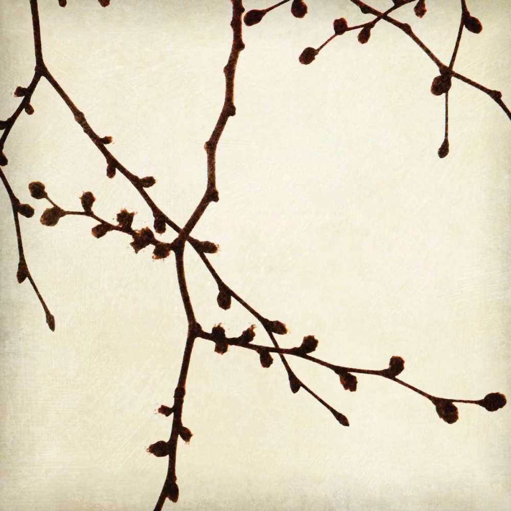 Wall Art Painting id:2387, Name: Branches I, Artist: Melious, Amy