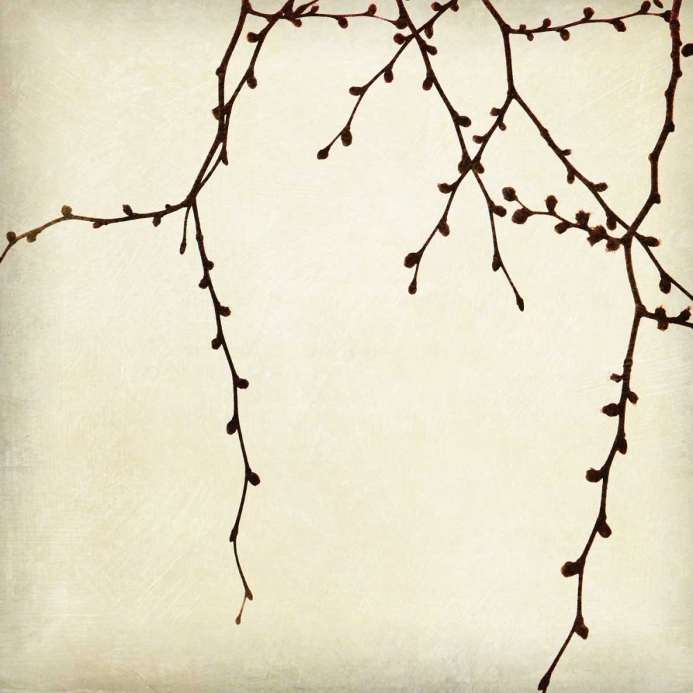 Wall Art Painting id:2388, Name: Branches II, Artist: Melious, Amy