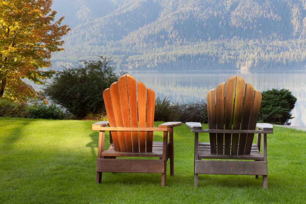 Art Print: Quinault Adirondacks