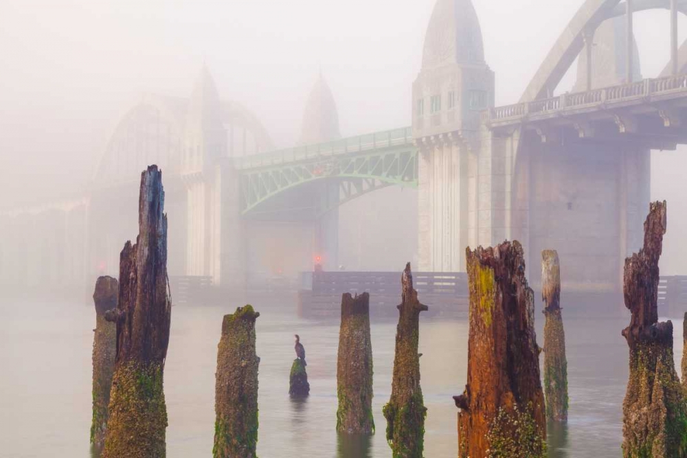 Art Print: Suslaw River Bridge IV