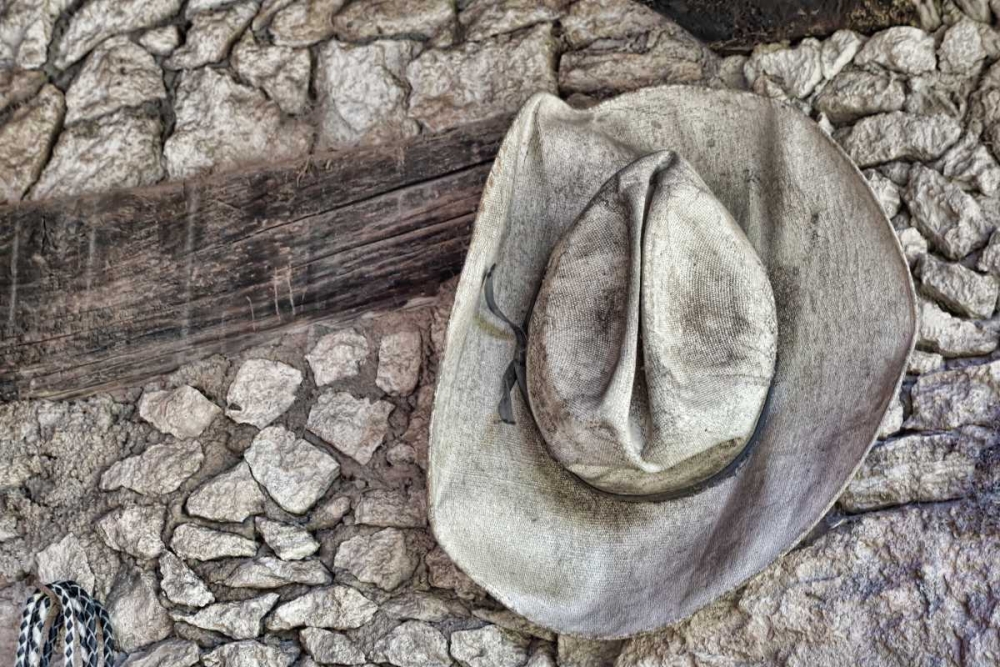 Art Print: Cowboy Hats I