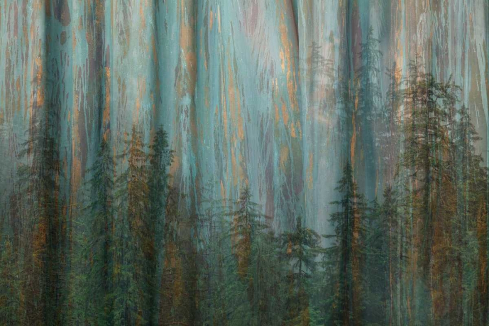 Art Print: Forest I