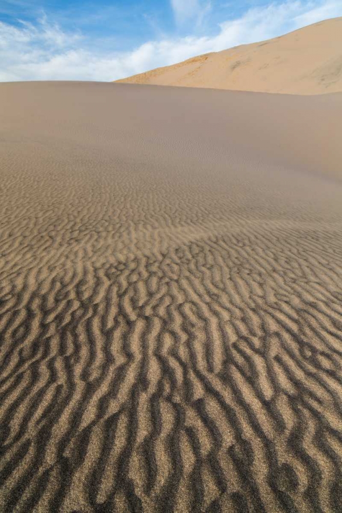 Art Print: Kelso Dunes I
