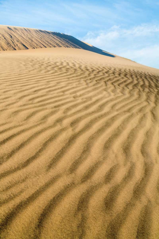 Art Print: Kelso Dunes II