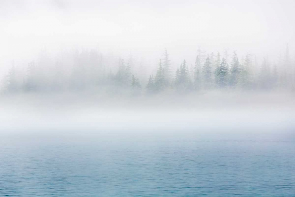 Art Print: Alaska Fog I