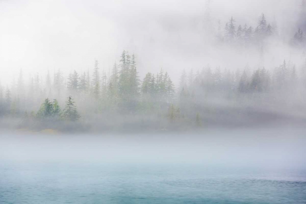 Art Print: Alaska Fog II