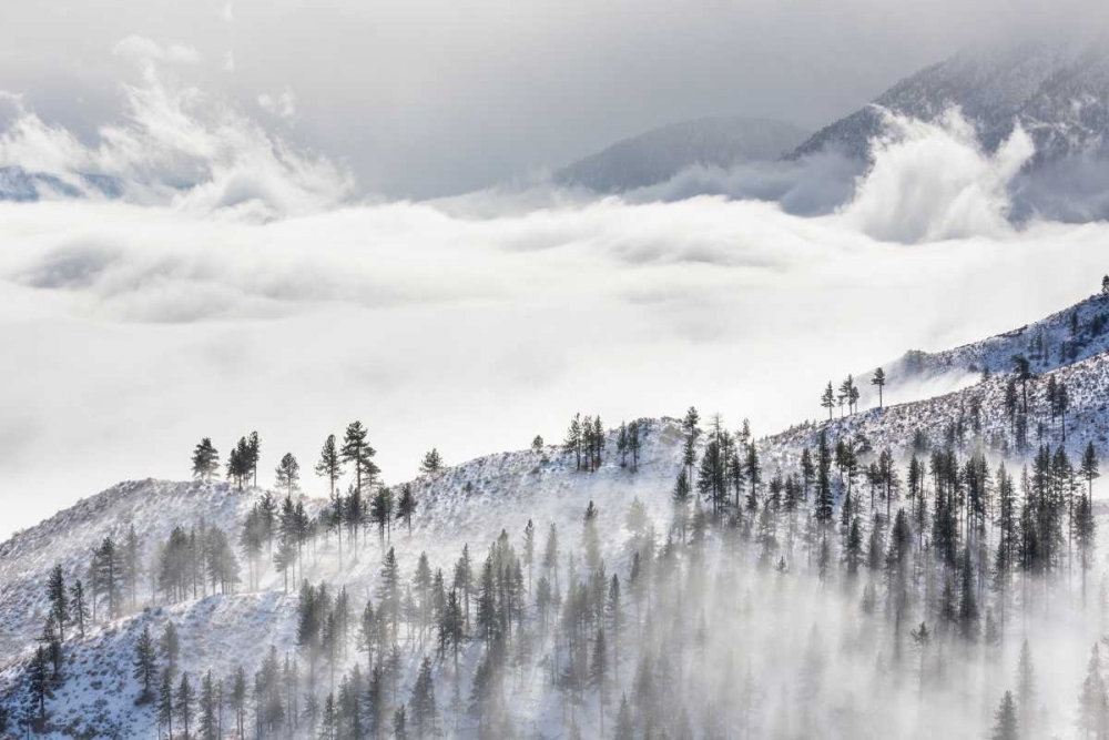 Art Print: Daggett Pass II