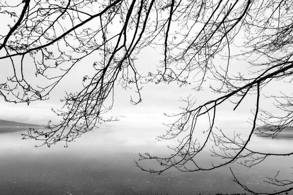 Wall art: Seabeck Winter II, by Mahan, Kathy