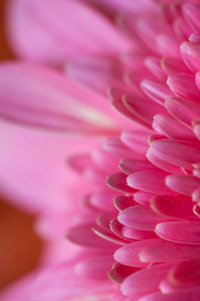 Wall Art Painting id:2432, Name: Pink Morning, Artist: Millet, Karyn