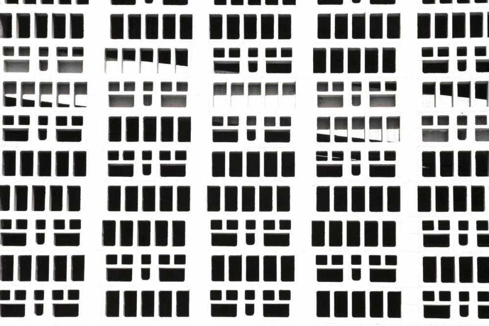 Art Print: Shadows I