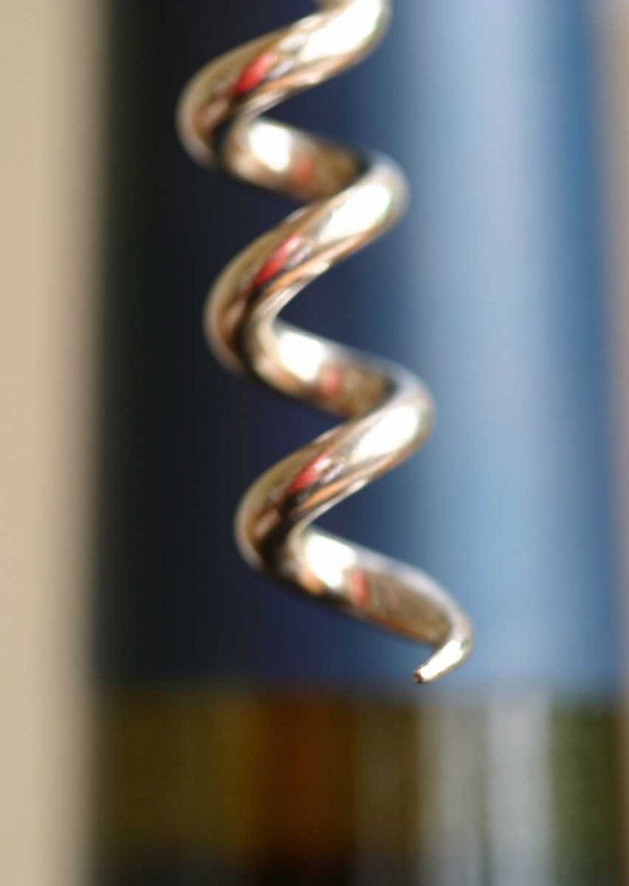 Art Print: Wine Tasting I