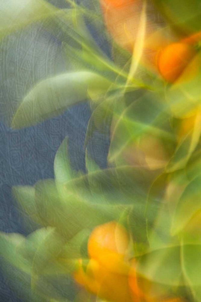 Art Print: Abstract Vision I