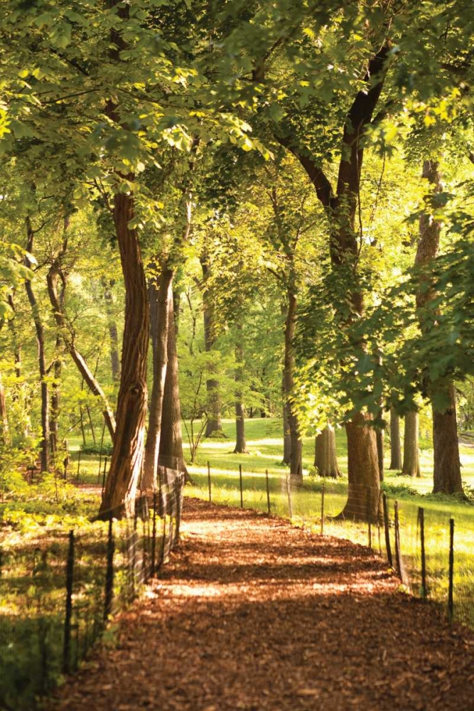 Similar wall art painting: 9772