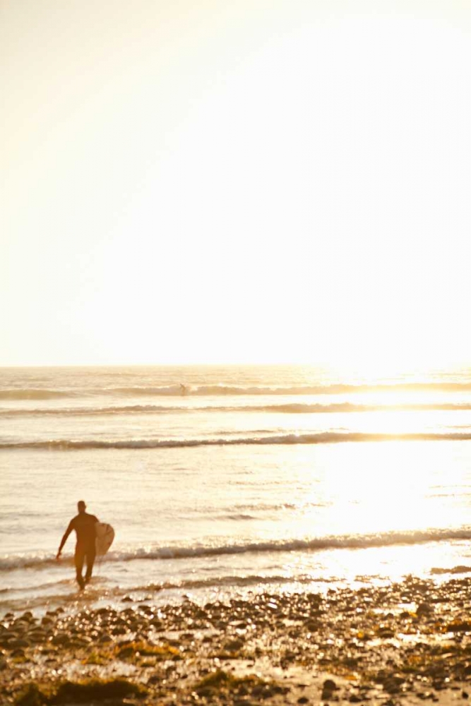 Art Print: Tropical Oasis VI