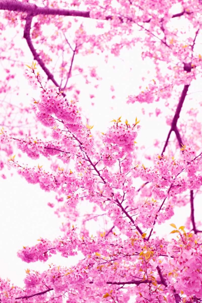 Similar wall art painting: 20221