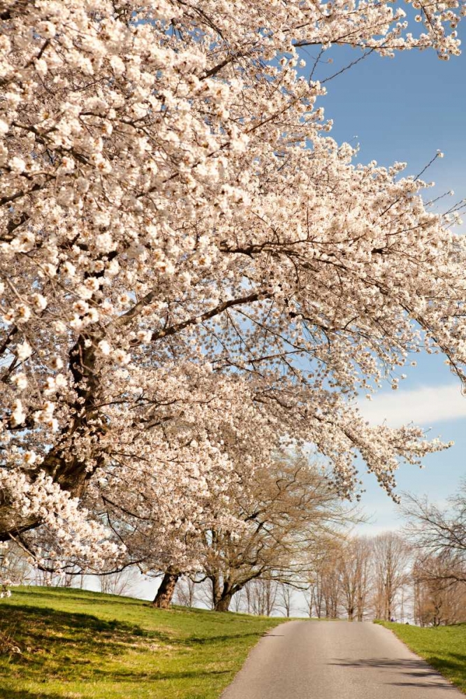 Wall Art Painting id:20231, Name: In the Park I, Artist: Millet, Karyn