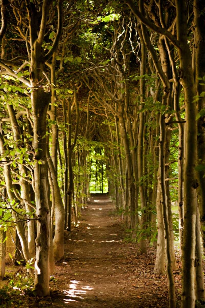 Similar wall art painting: 20235