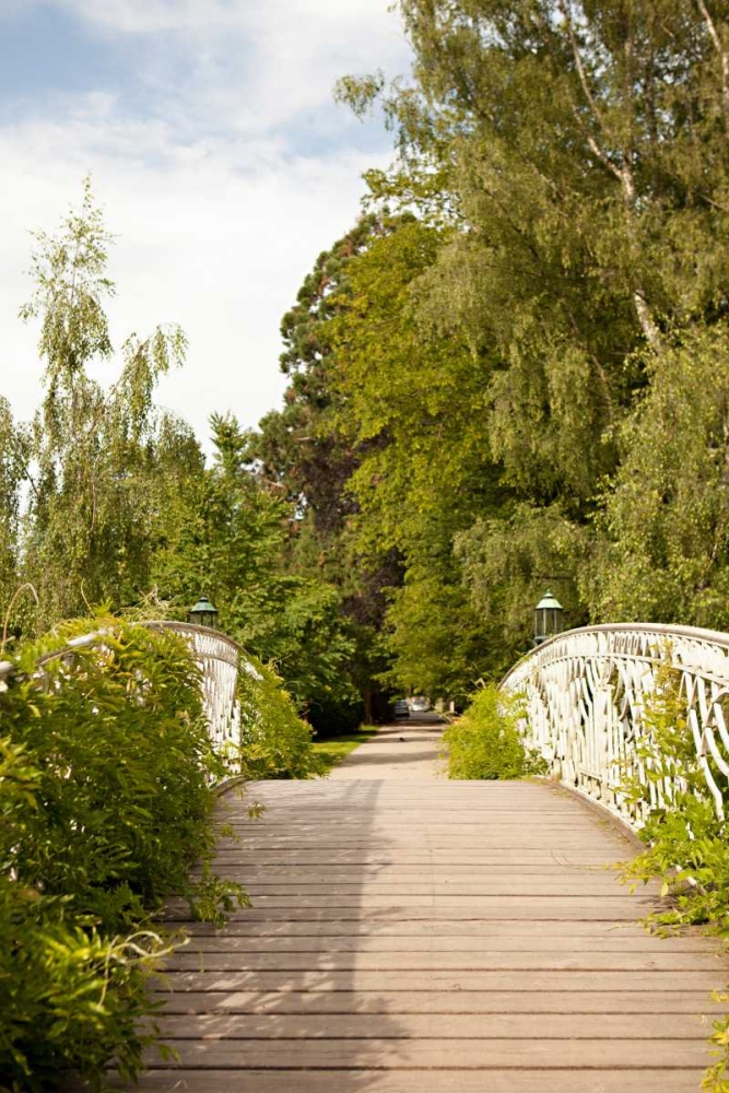 Wall Art Painting id:20236, Name: Secret Garden IV, Artist: Millet, Karyn