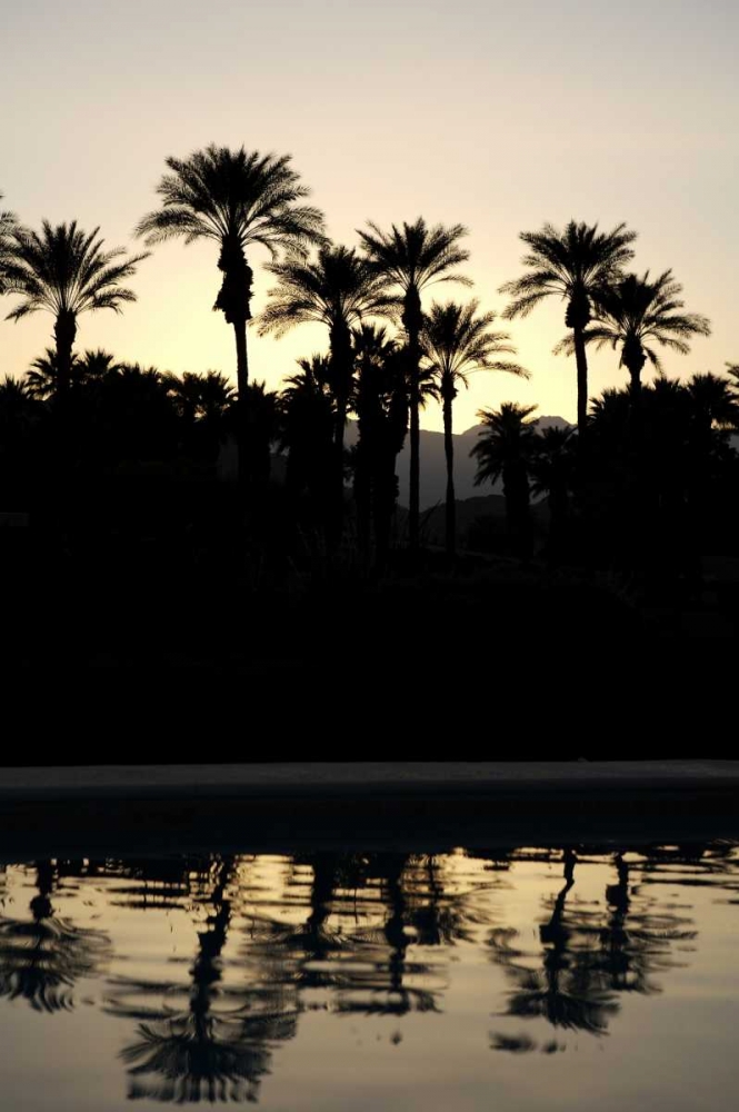 Art Print: Tropical Silhouette II