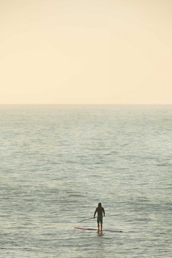 Art Print: Summer Surfing II