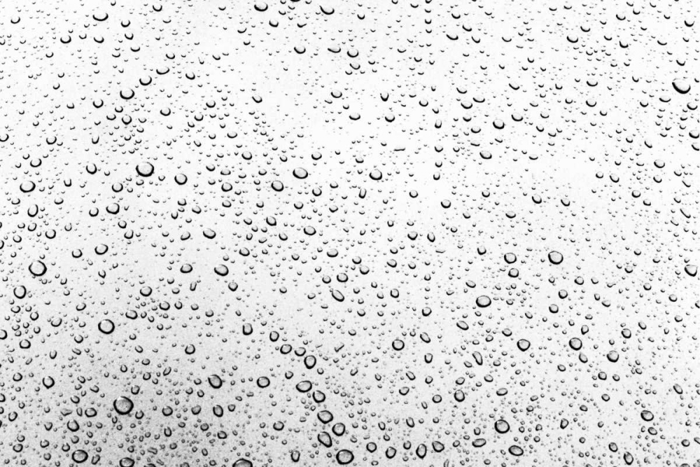 Art Print: Rain Drops I