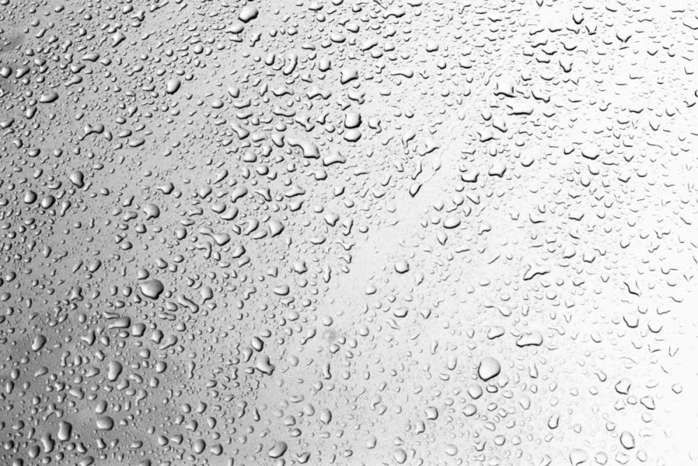 Wall art: Rain Drops II, by Millet, Karyn