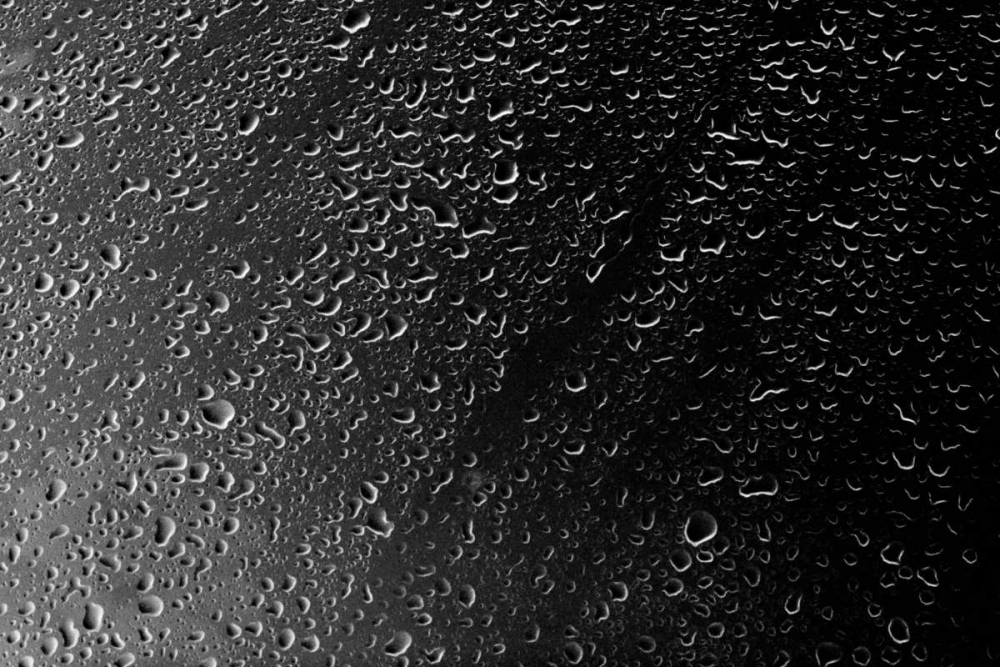 Art Print: Rain Drops IV