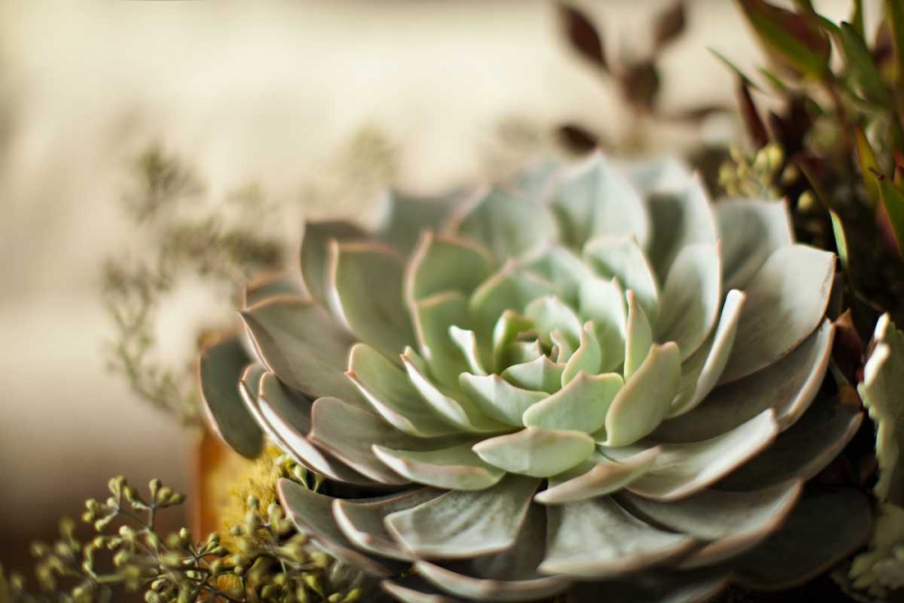 Similar wall art painting: 146233