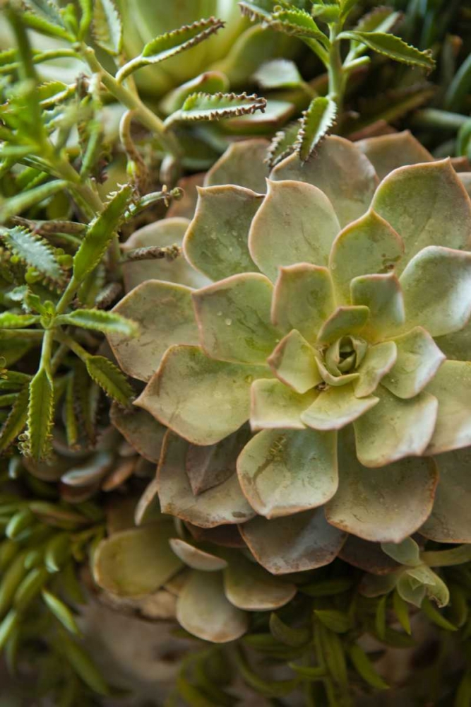 Similar wall art painting: 146235