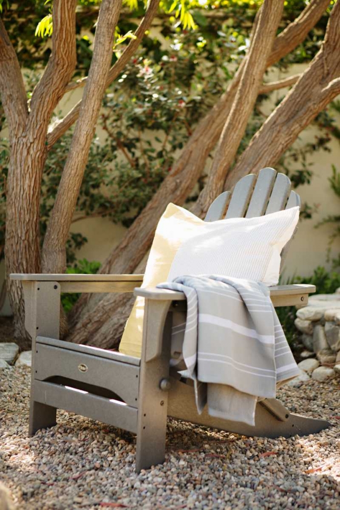 Art Print: Adirondack