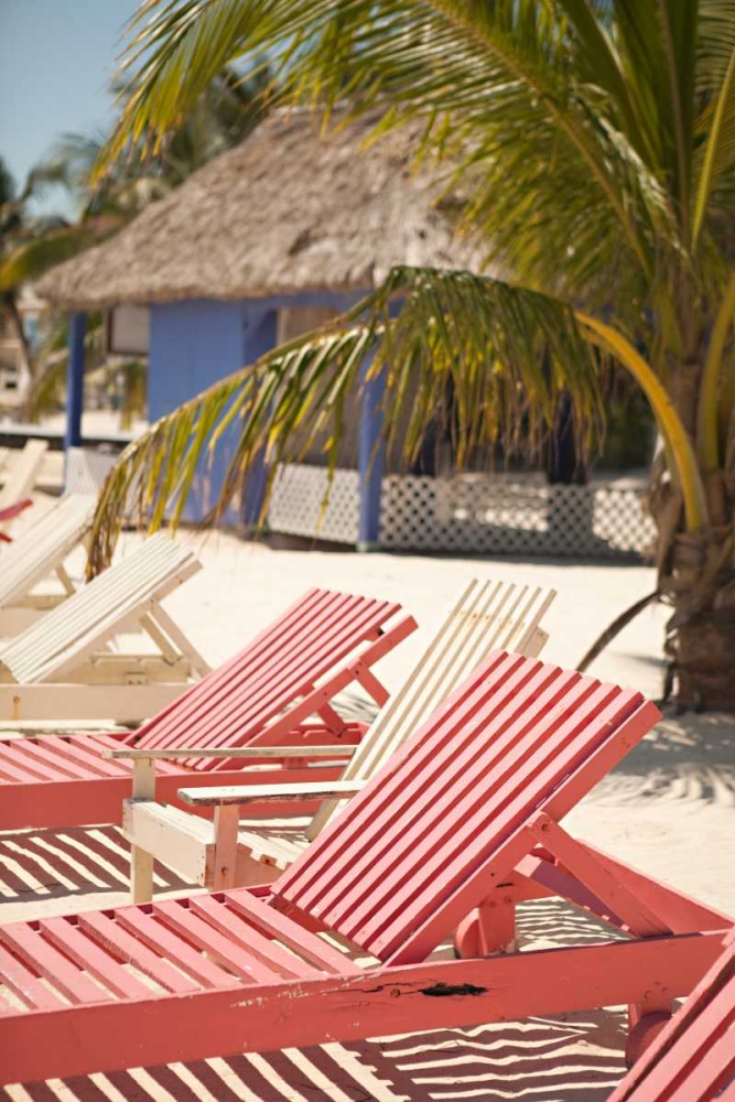 Art Print: Lazy Beach