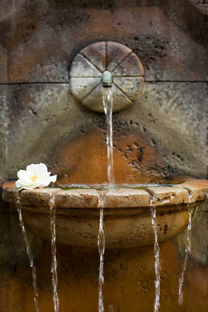 Art Print: Fountain I