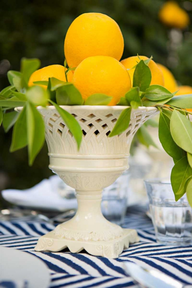 Wall Art Painting id:146364, Name: Lemons III, Artist: Millet, Karyn