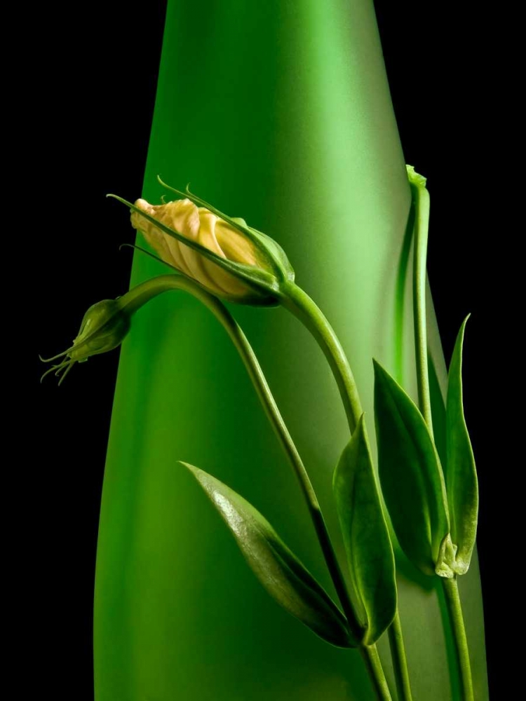 Wall Art Painting id:2486, Name: Soul Mates I, Artist: McNemar, C. Thomas