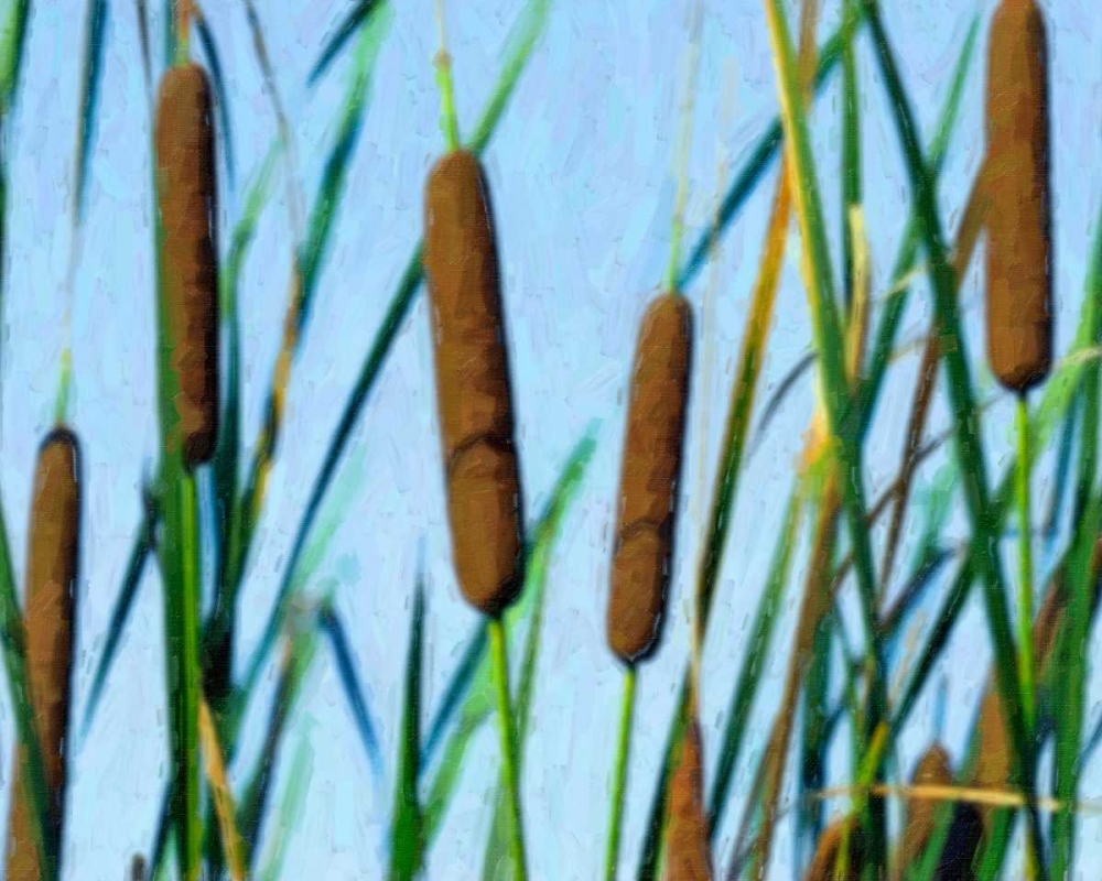 Wall Art Painting id:2507, Name: Cattailes, Artist: McNemar, C. Thomas