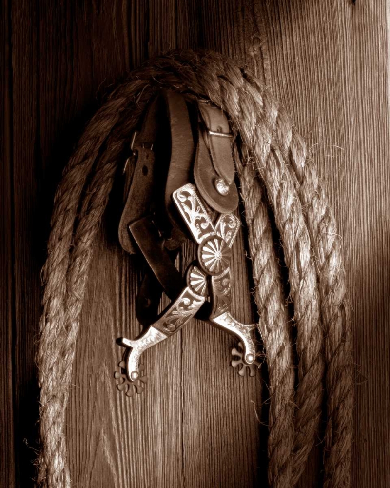 Wall Art Painting id:2515, Name: Spurs, Artist: McNemar, C. Thomas