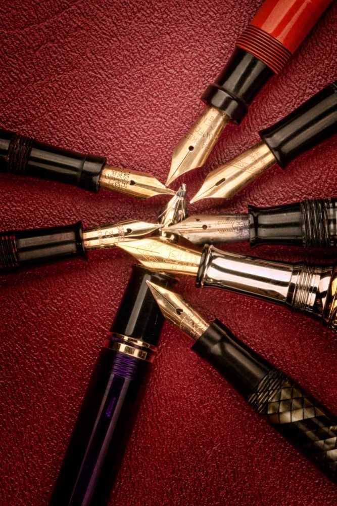 Wall Art Painting id:2528, Name: Fine Writing II, Artist: McNemar, C. Thomas