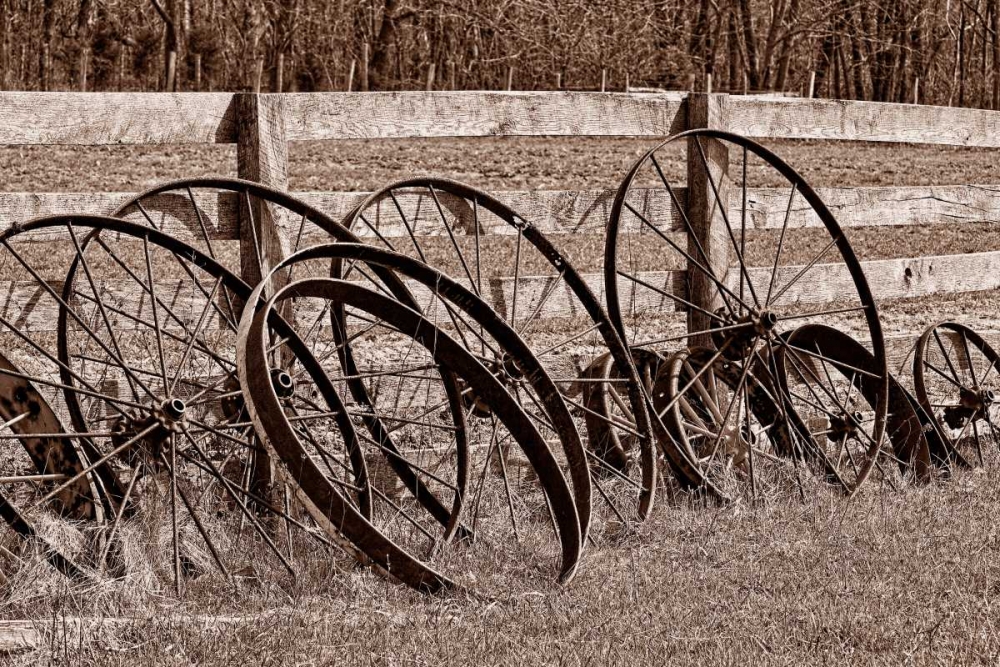 Wall art: Antique Wagon Wheels I, by McNemar, C. Thomas