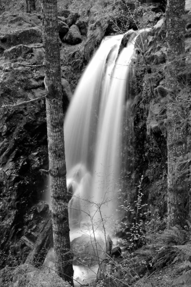 Art Print: Waterfall I