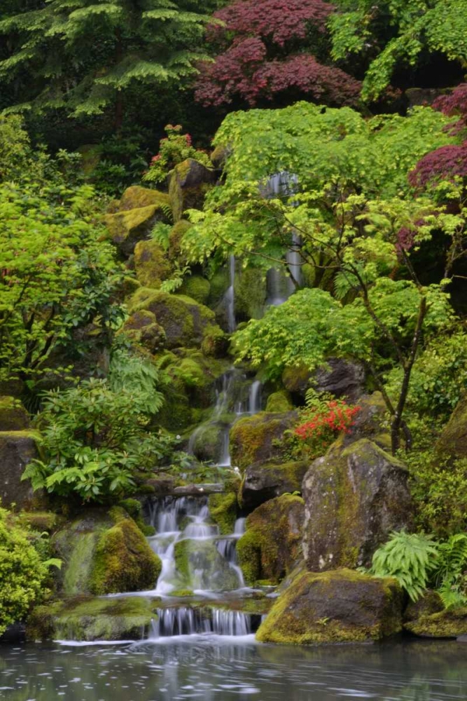 Art Print: Japanese Gardens I