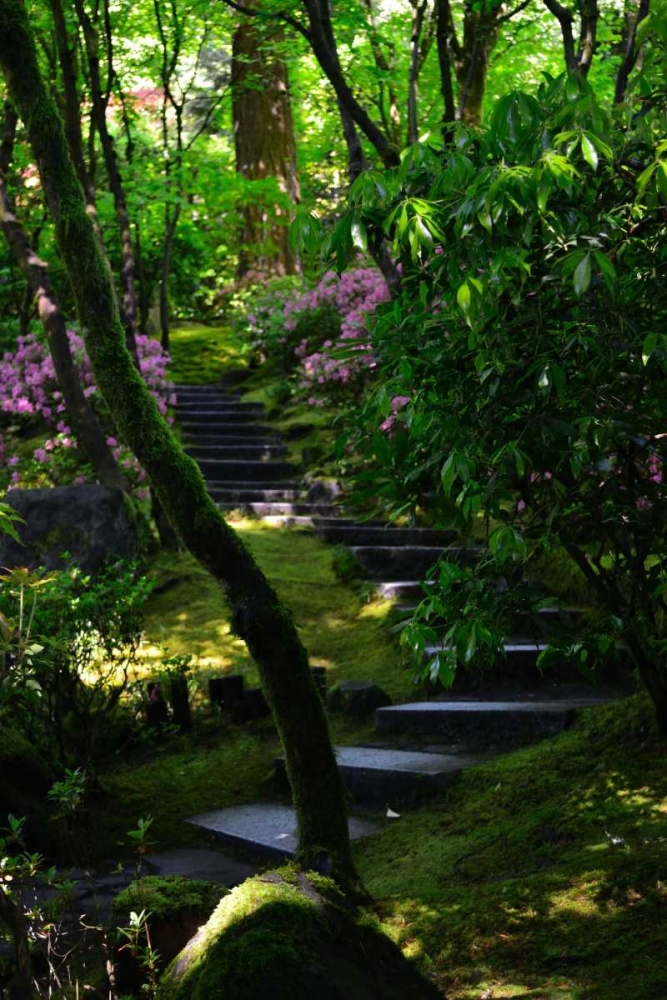 Art Print: Garden Stairs II