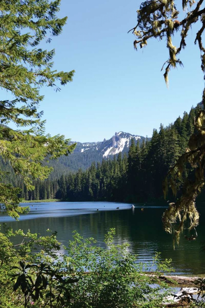 Art Print: Morning at the Lake II