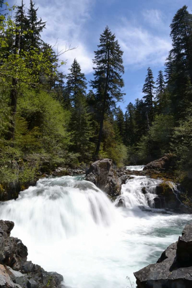 Similar wall art painting: 2713