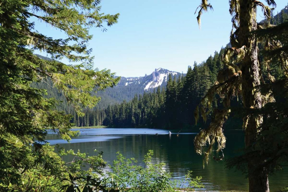 Art Print: Morning at the Lake III