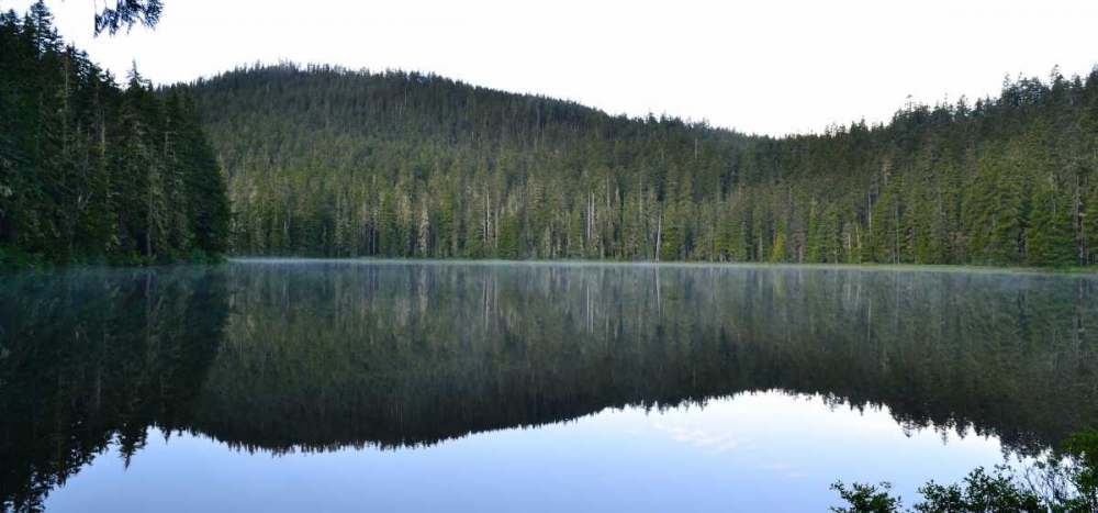 Art Print: Morning at the Lake V