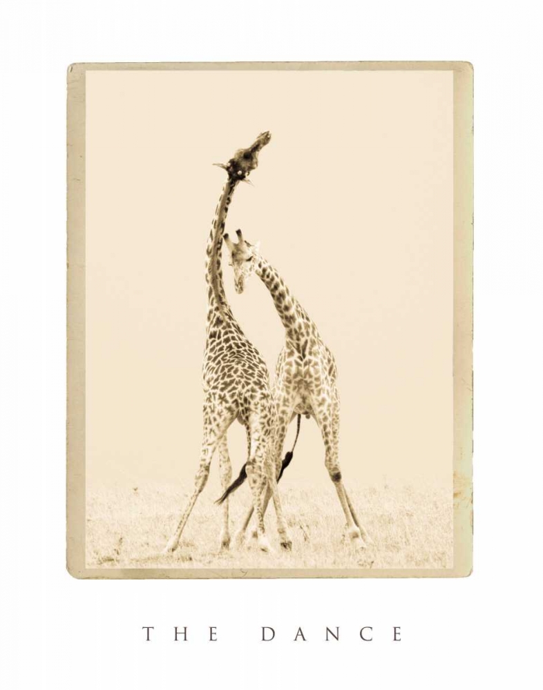 Wall Art Painting id:2745, Name: The Dance, Artist: Parker, Susann