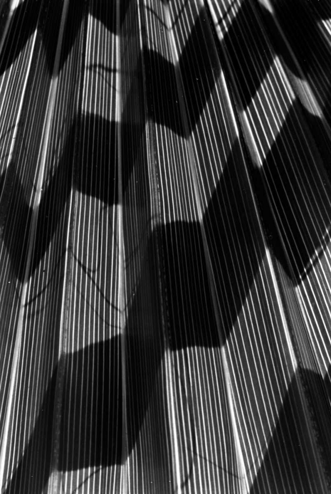 Similar wall art painting: 2801