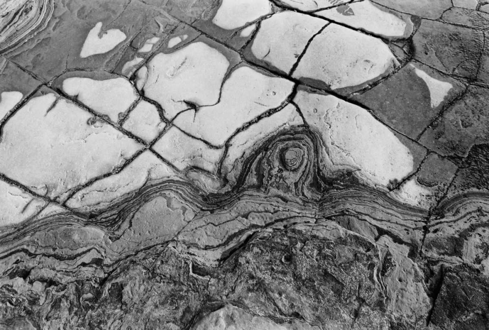 Wall Art Painting id:2803, Name: Texture I, Artist: Peterson, Lee