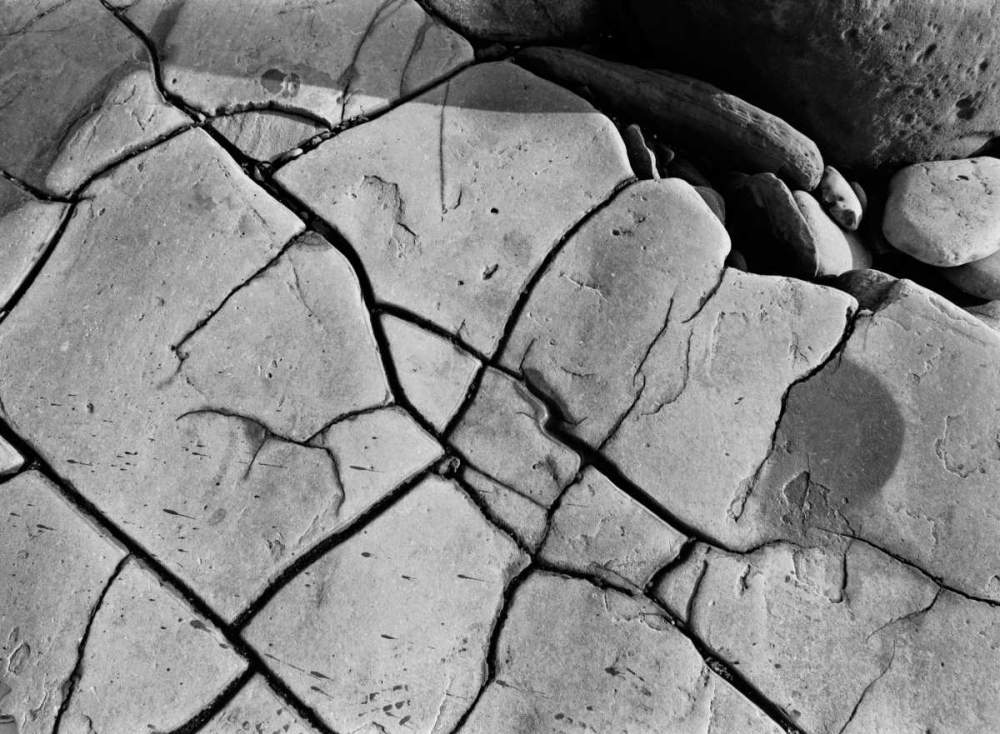 Wall Art Painting id:2804, Name: Texture II, Artist: Peterson, Lee